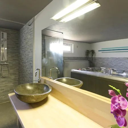 Hébergement de vacances De La Douloustre Montgaillard (Hautes-Pyrenees)